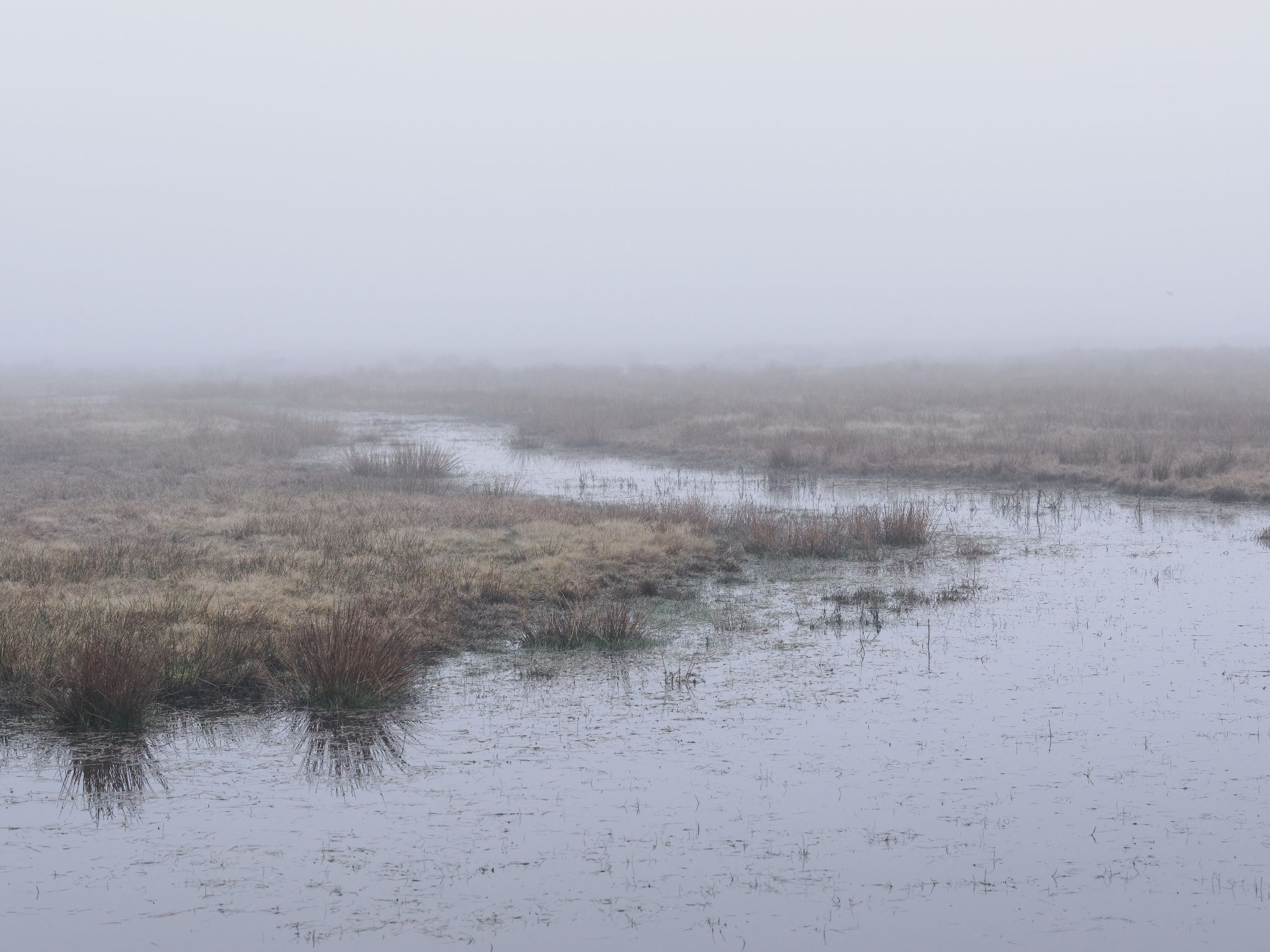 260321 1034 H  2HR0044 DxO DeepPRIME 3